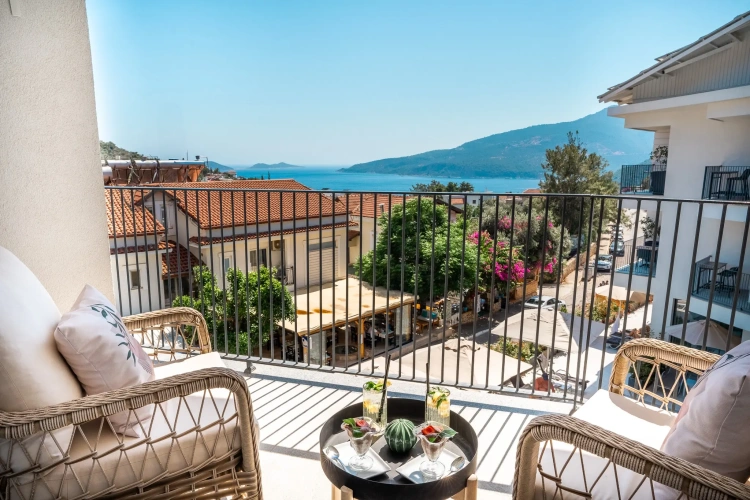 Superior Double room with balcony and with view