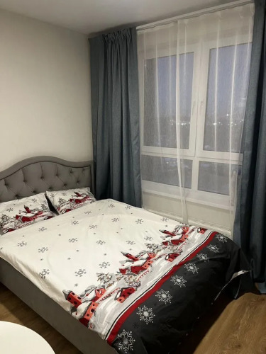 Фотография номера квартиры Апартаменты студия Loft на проспекте Куприна 30к9