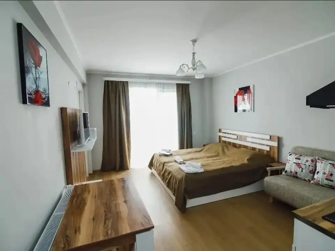 Double Studio with balcony and with mountain view