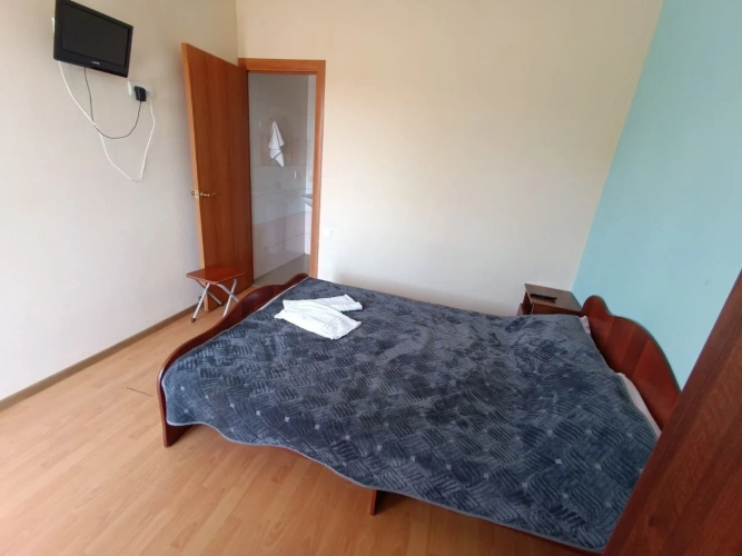 Standard Twin room with balcony and with view