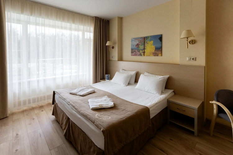 Фотография номера гостиницы Амакс Красная Пахра