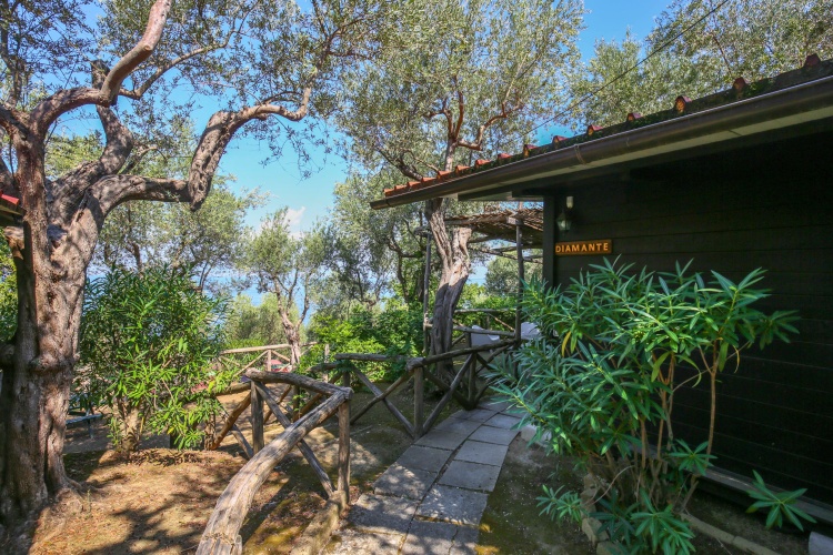 Superior Quadruple Bungalow