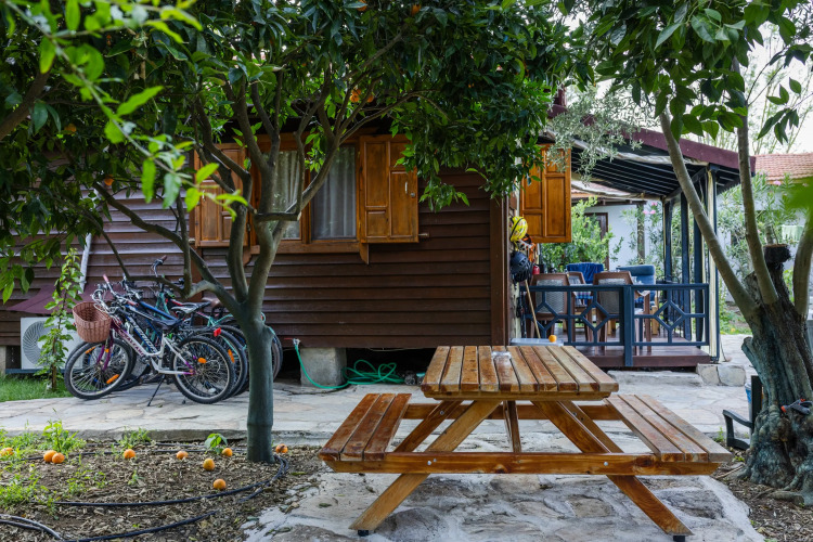 Фотография отеля