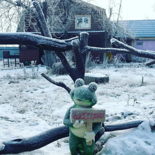 Фотография номера гостевого дома Изба