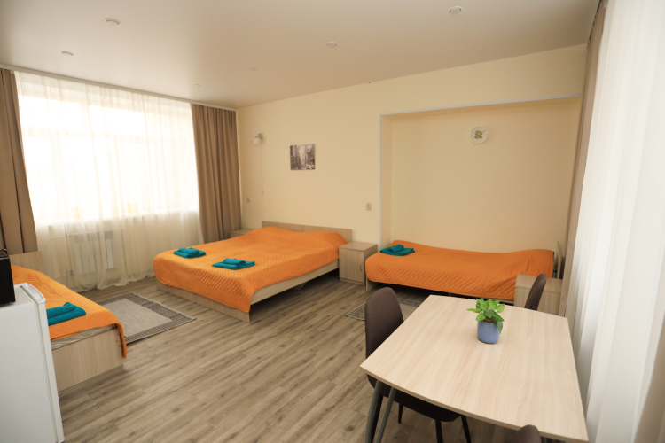 Фотография номера гостиницы Звёздочка