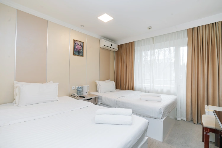 Standard Twin room with city view