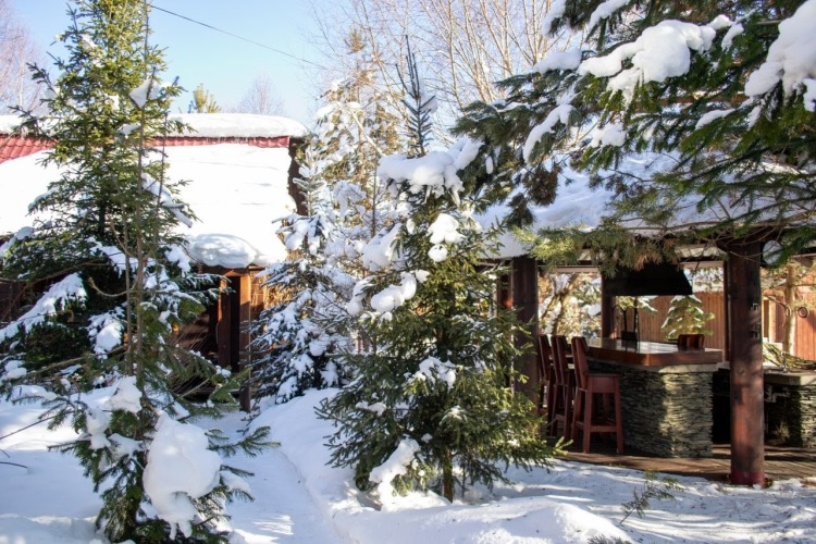 Изображение 1