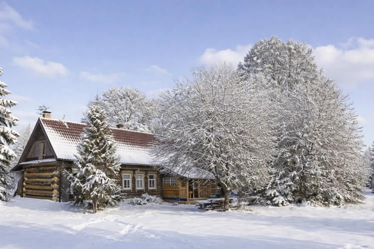 Фотография номера базы отдыха Деревня Лобаново