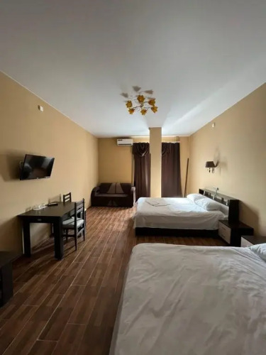 Фотография номера гостиницы Сюрприз 31ж