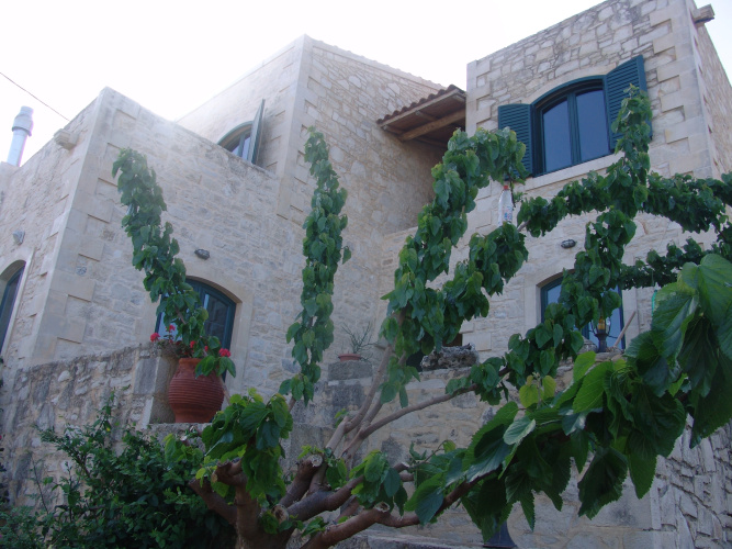 Aloni Villa