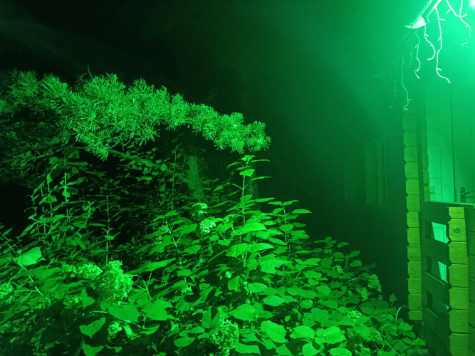 Фотография номера Коттеджа Частный дом Крым у Ёлки