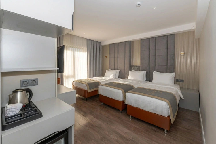 Standard Triple room