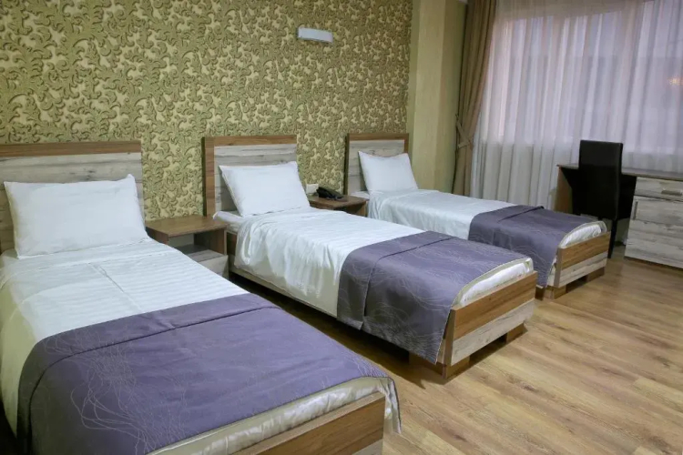Фотография номера гостиницы Hotel Gureli