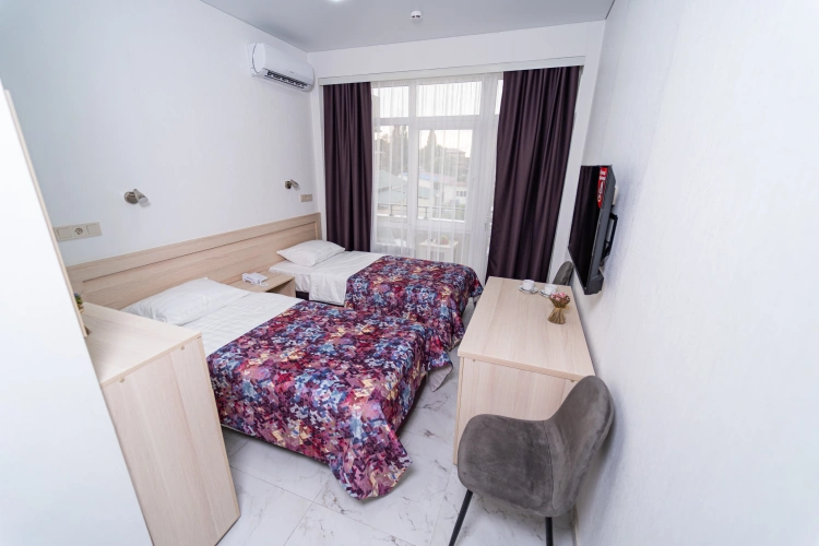 Standard Double room with balcony and with mountain view