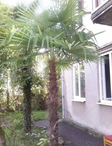 Bez Khozyaev Private house