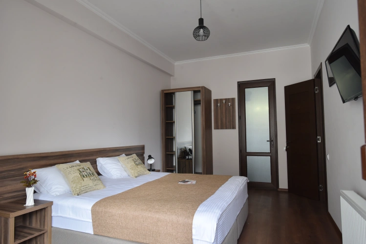 Deluxe Double room with balcony and with view