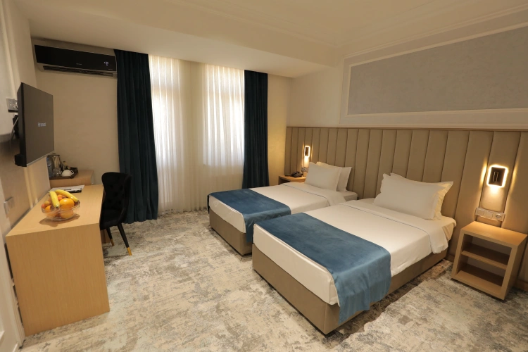Standard Twin room with balcony and with view