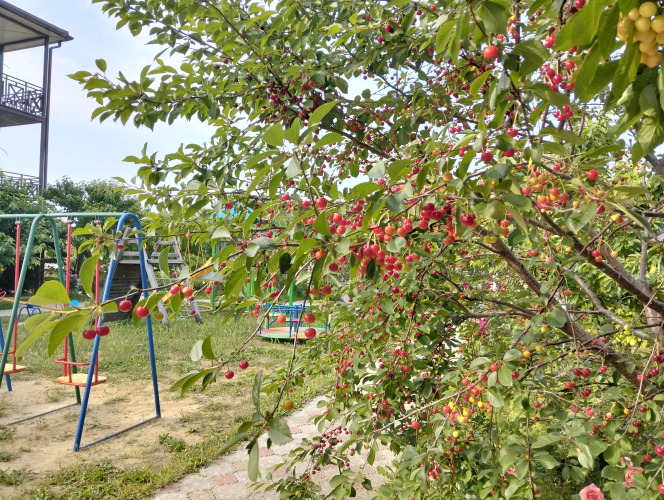 Изображение 1