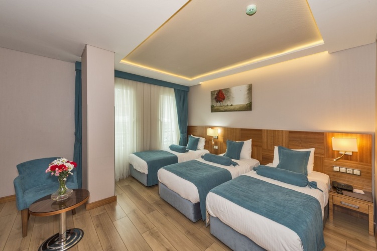 Standard Triple room with view