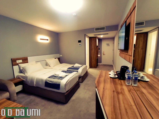 Deluxe Twin room with balcony and with view