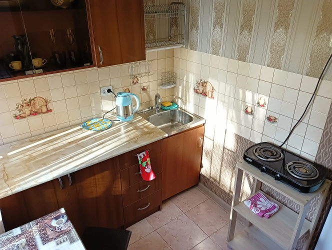 Odnokomnatnaya Flat