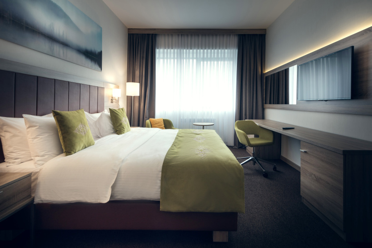 Business Double Suite with view