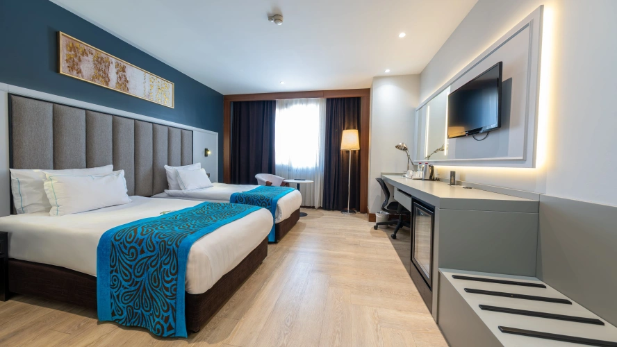 Deluxe Twin room with city view