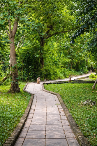 Selous Kinga Lodge Hotel