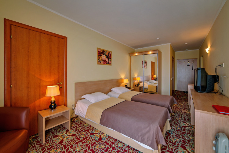 Фотография номера гостиницы Яхонты