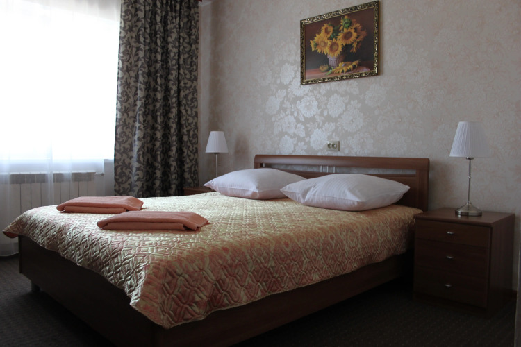 Фотография номера гостиницы Элион