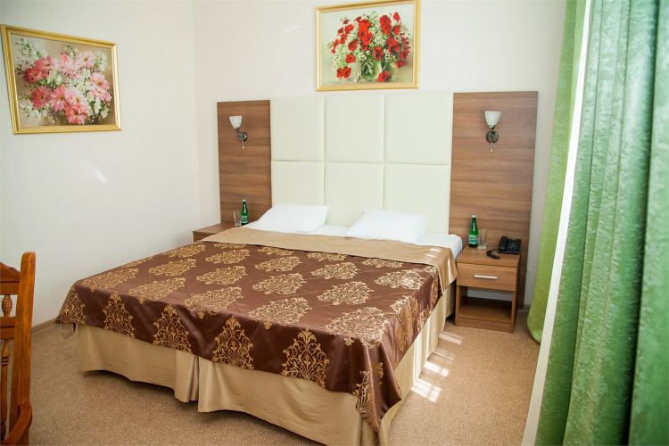 Фотография номера гостиницы Царицынская