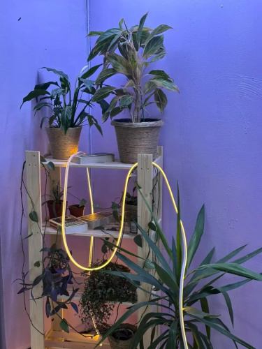 Hostel cryptohostel