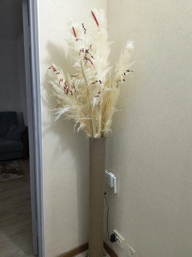 Apt U Tsentralnogo Stadiona Flat