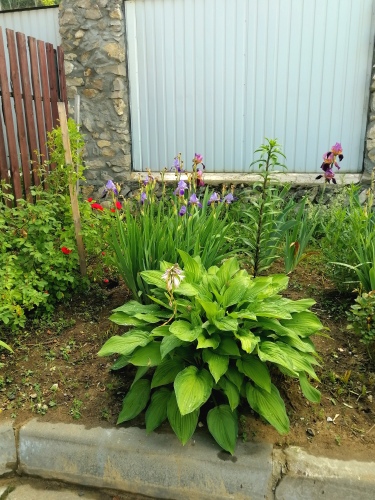 Изображение 1