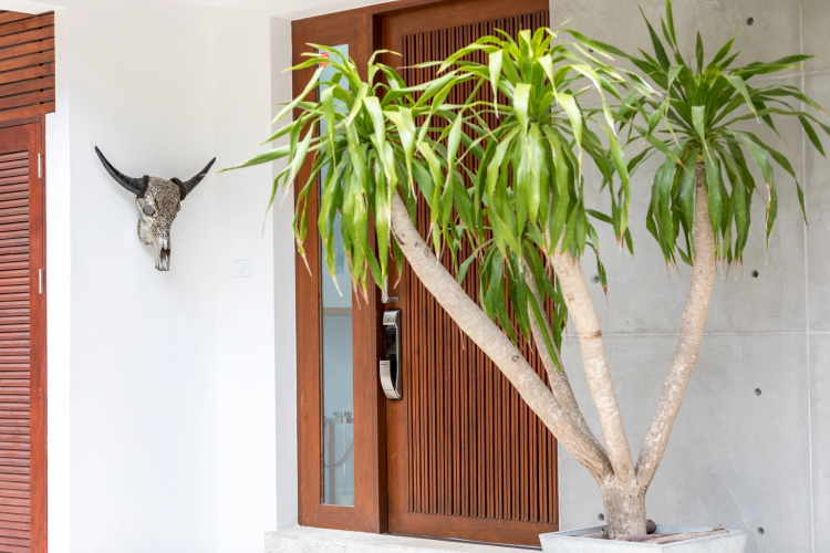 55 Stylish SeaView Villa
