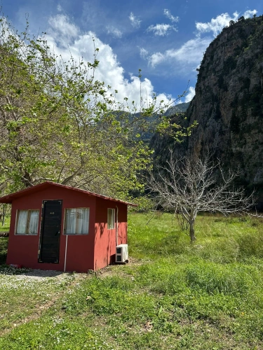 Superior Double Bungalow with view