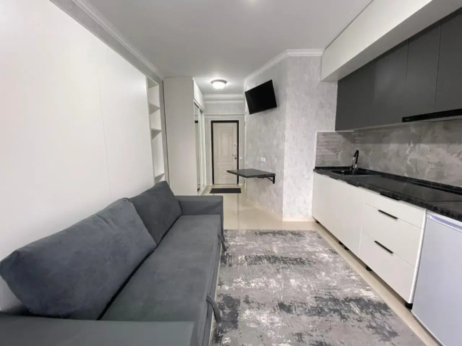 Best House Almaty Flat