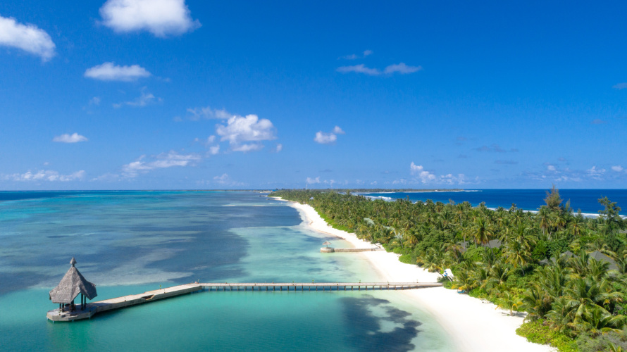 Canareef Resort Maldives photo 19