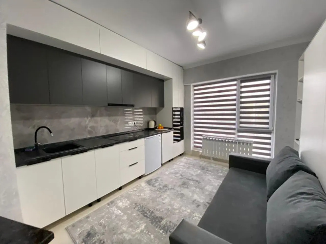 Best House Almaty Flat