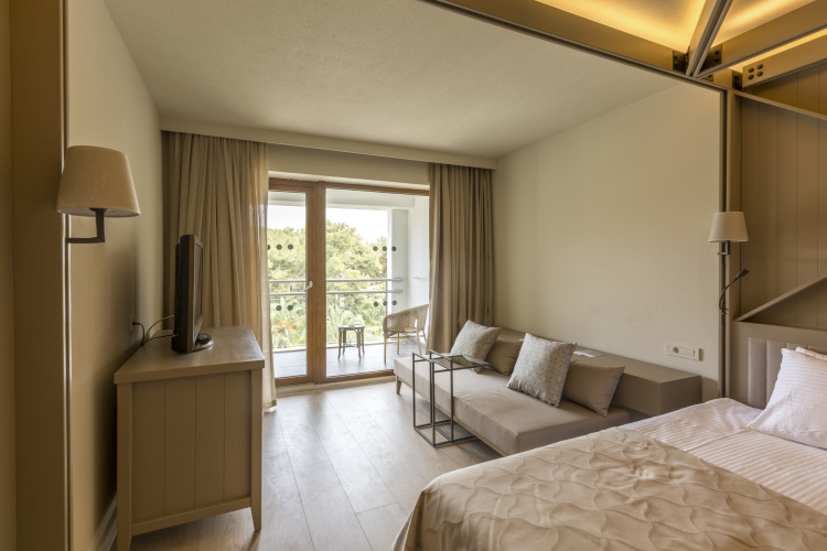 Standard room with land view