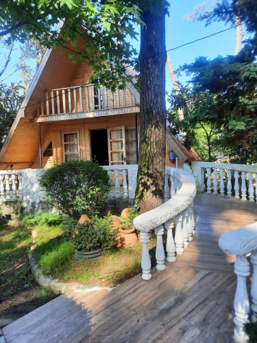 Duplex Cottage with courtyard view