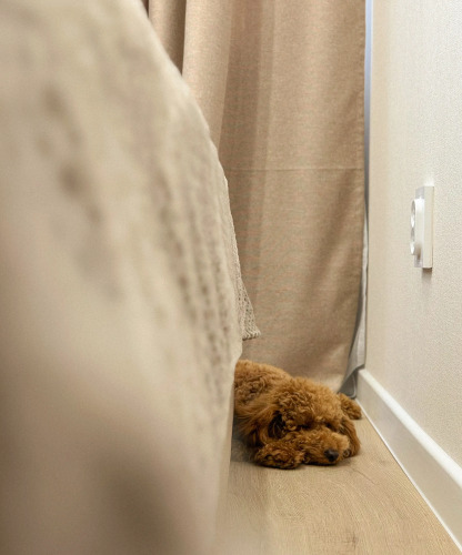 Фотография номера квартиры Квартира на Гусарской 7