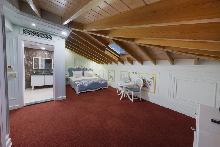 Sky View Loft Mansion Double room