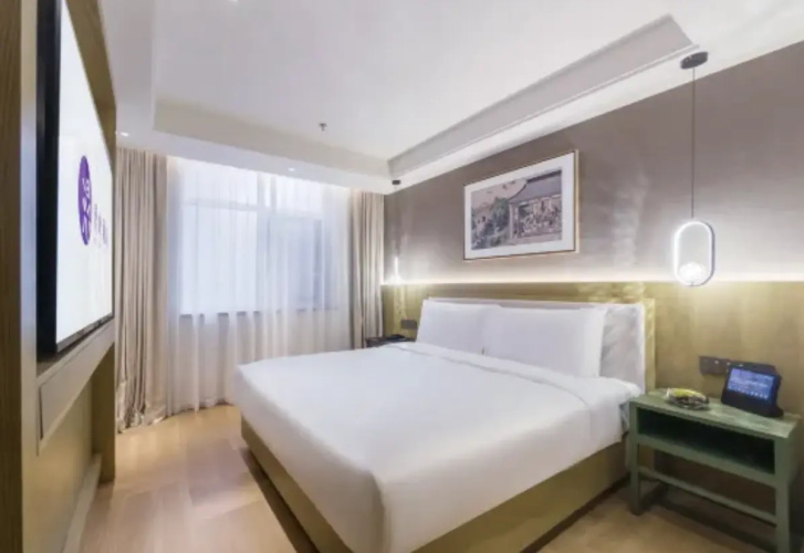 Standard Suite