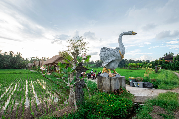Pondok Mawas Hotel
