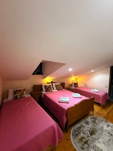 Deluxe Family room