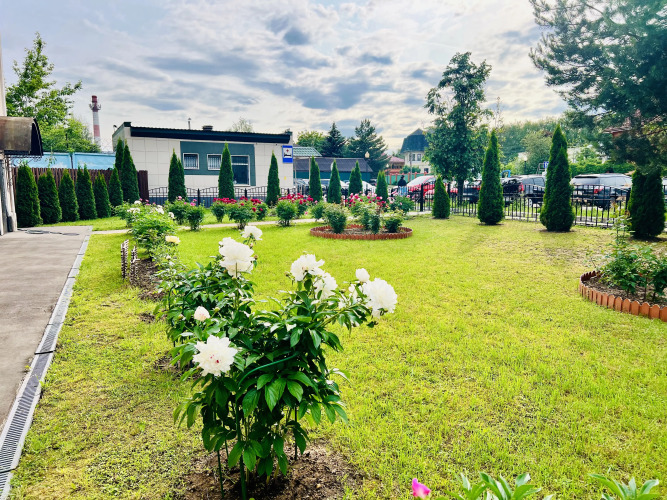 Фотография отеля