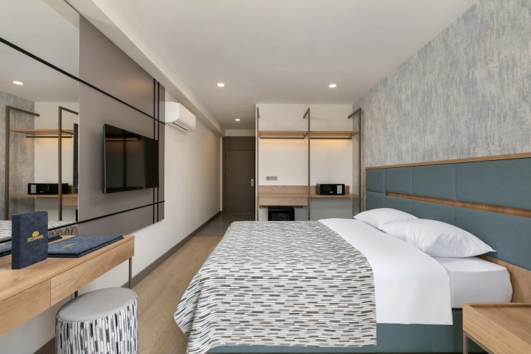 Standard Double room with park view
