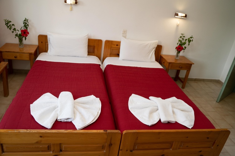 Standard Double room with balcony and with view