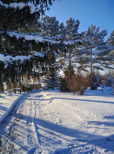 Фотография номера Коттеджа Частный дом с Камином Соколово